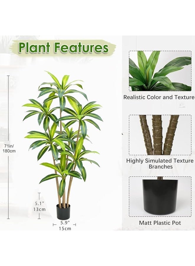 Rightsure Artificial Plant, Artificial Brazilwood Tree, Artificial Tree with Lifelike Leaves And Pole, Perfect Lifelike Artificial Tropical Tree in Pot for Home Office Living Room Indoor Decor (180cm) - Image 2